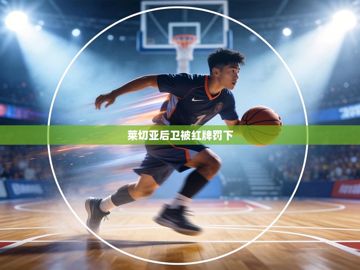 莱切亚后卫被红牌罚下 第2张